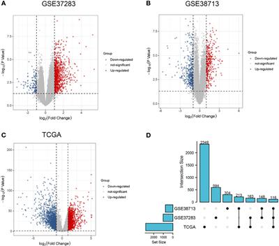 Search for Key Genes and Functional Pathways of Ulcerative Colitis to Colon Cancer Based on Bioinformatics